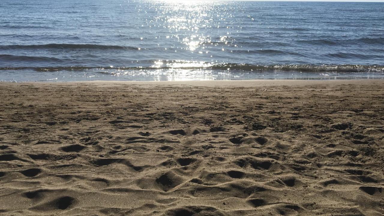 Giardino Sud - A Pochi Passi Dal Mare Apartment Сан Винченцо Екстериор снимка