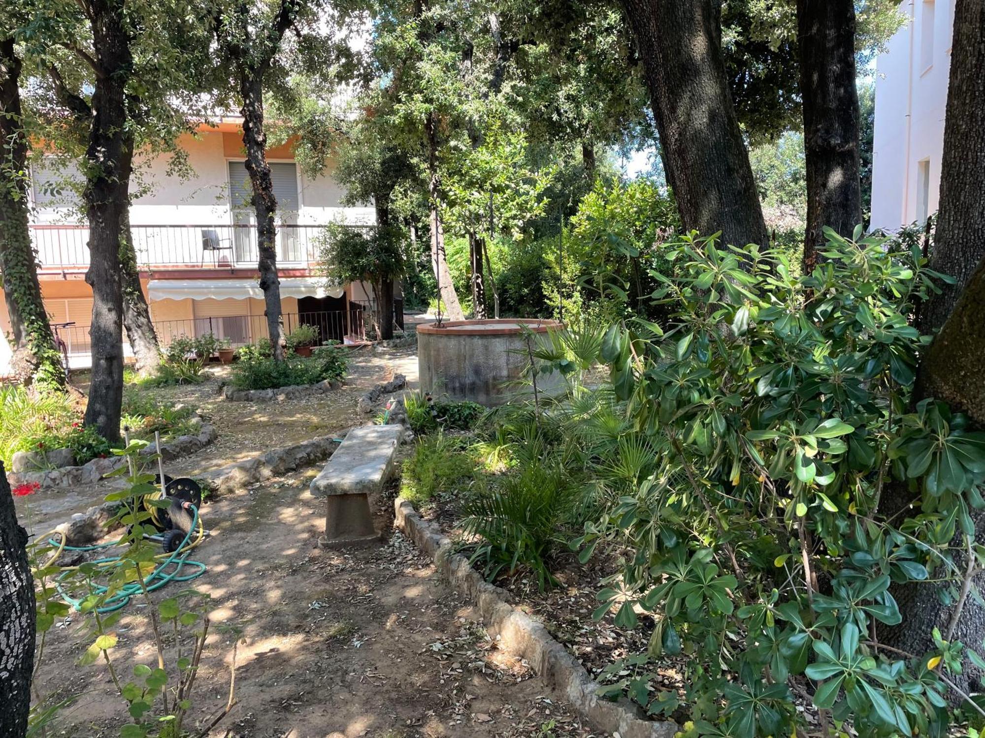Giardino Sud - A Pochi Passi Dal Mare Apartment Сан Винченцо Екстериор снимка